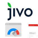 JivoSite: оптимизированное подключение под Google PageSpeed