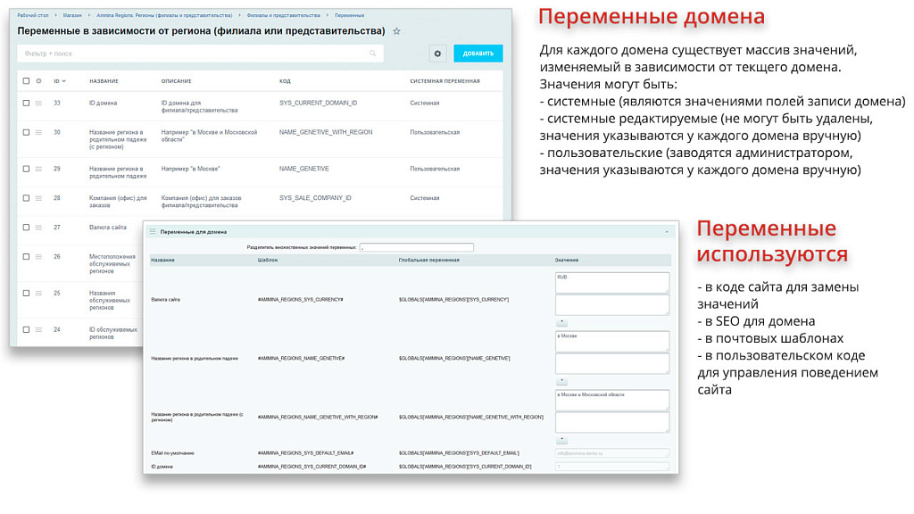 Ammina. Регионы (филиалы и представительства). Мультирегиональность на доменах и URL адресах