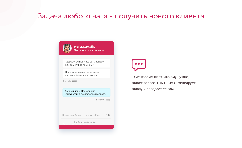 INTECBOT - Чат бот для сайта. Ловец лидов. Роботизированный онлайн-консультант.