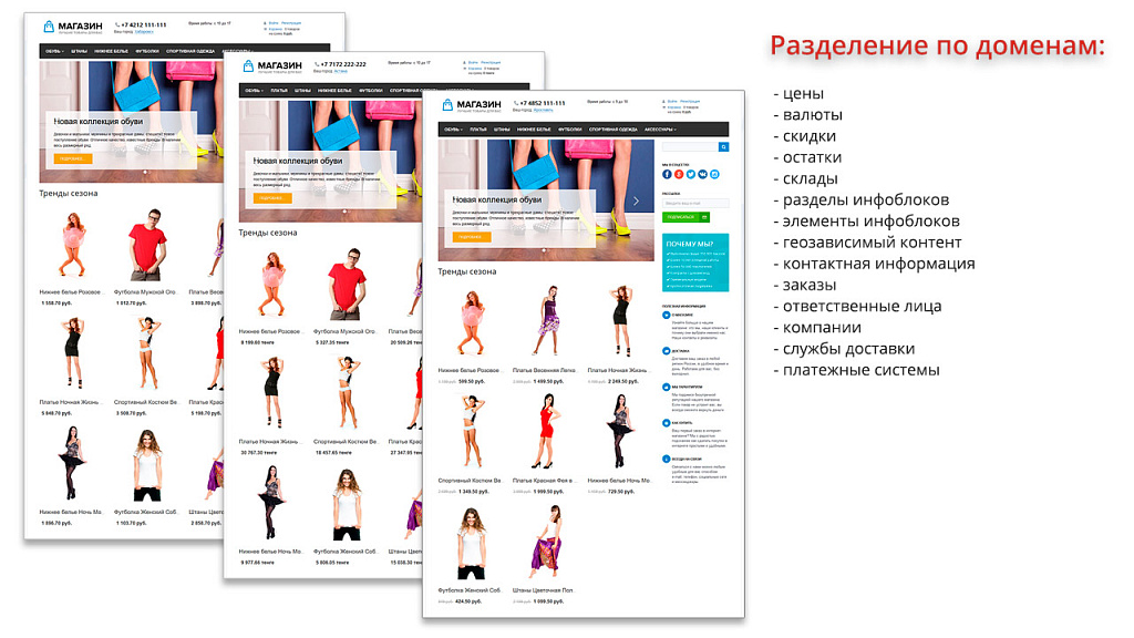 Ammina. Регионы (филиалы и представительства). Мультирегиональность на доменах и URL адресах