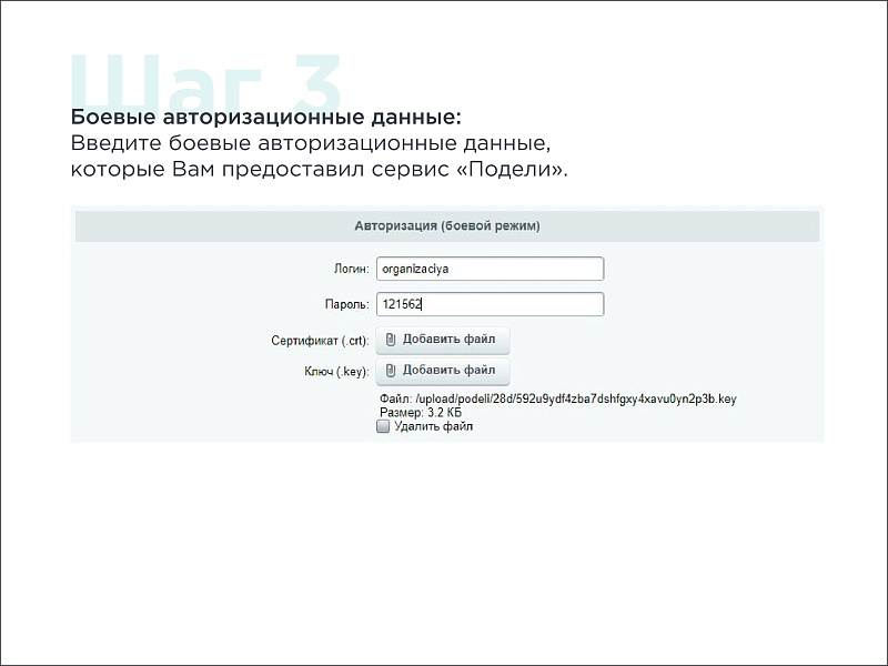 Skillline | BNPL-модуль для интеграции сервиса "Подели"
