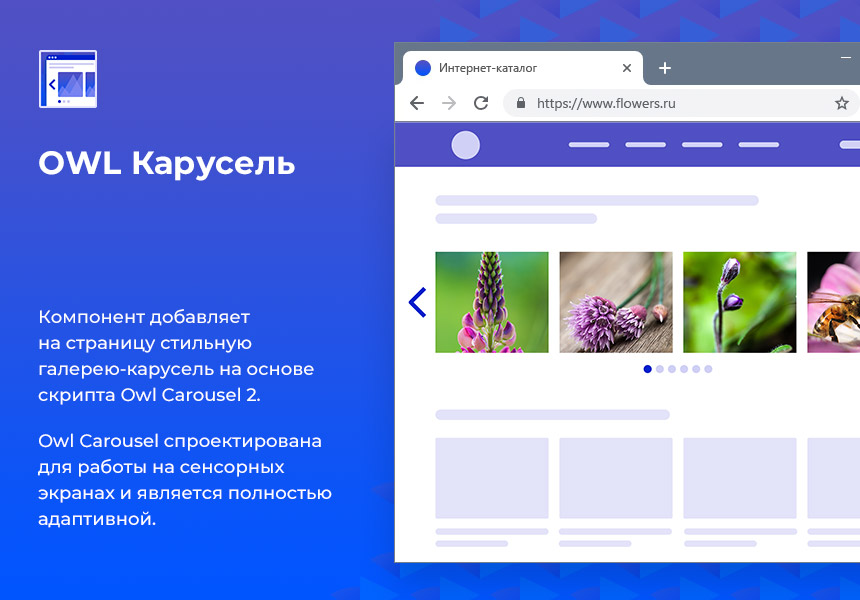 OWL Карусель