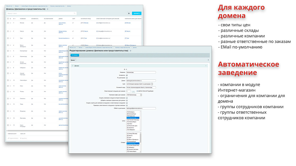 Ammina. Регионы (филиалы и представительства). Мультирегиональность на доменах и URL адресах