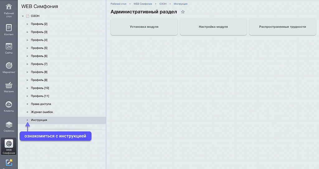 WBS24: Интеграция заказов, остатков и цен с OZON (ОЗОН) по API