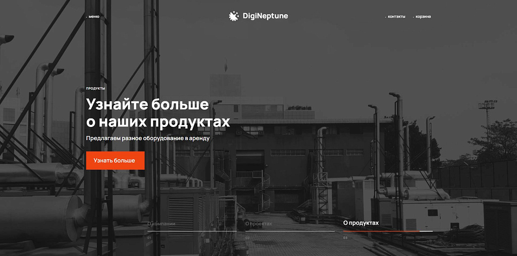 Имиджевый промо-сайт с корзиной товаров DIGINEPTUNE