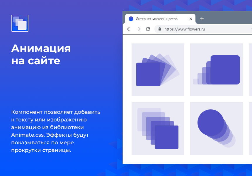 Анимация на сайте